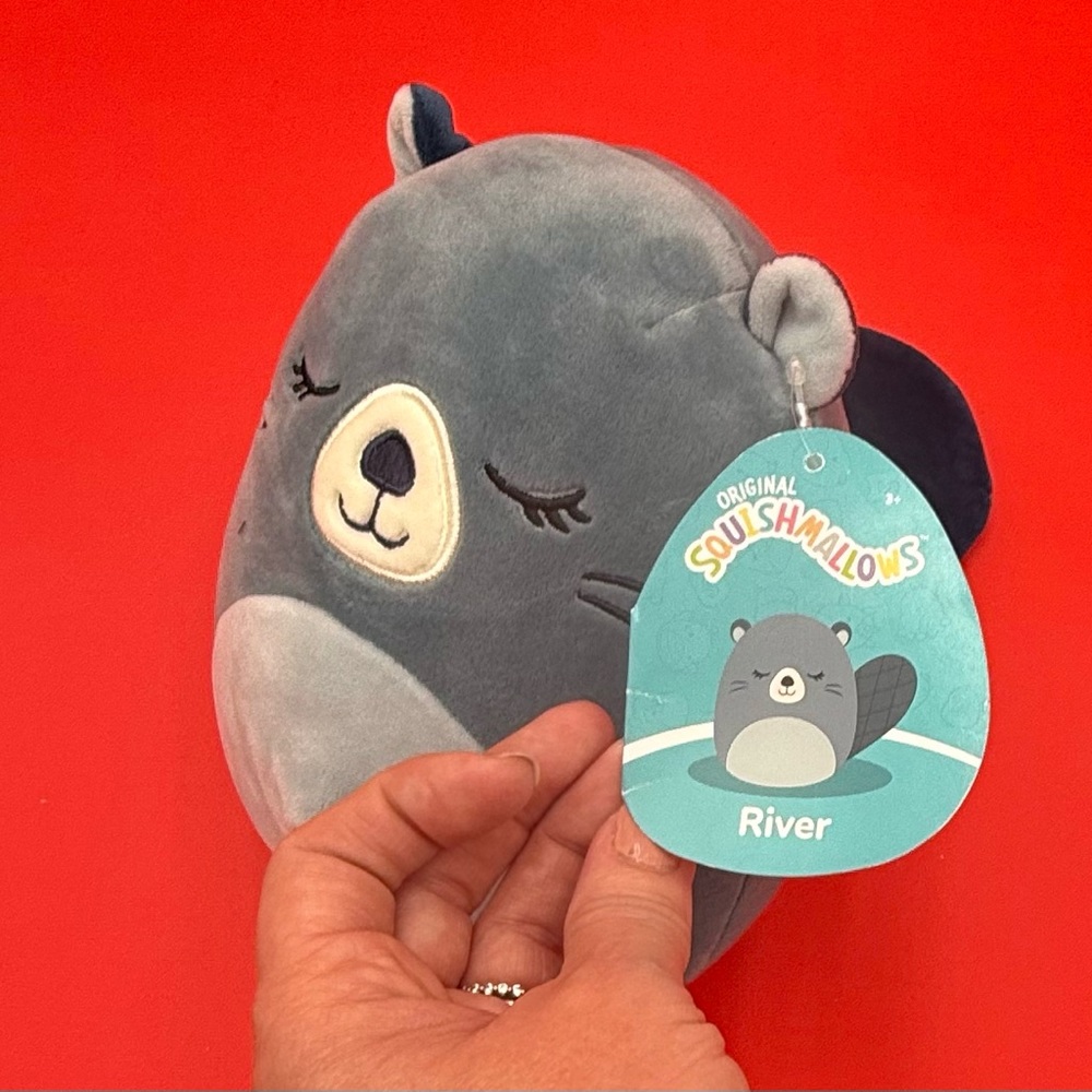 Squishmallows NWT‎ River the Beaver. Ships next biz day . - Picture 3 of 6